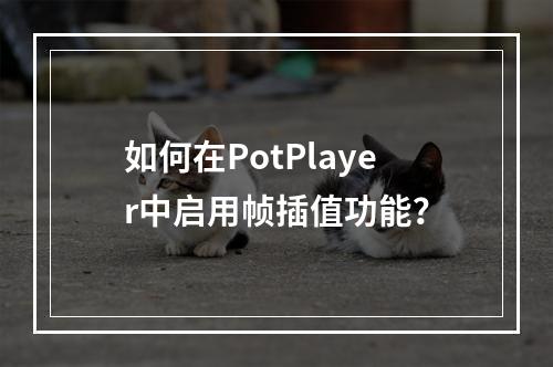 如何在PotPlayer中启用帧插值功能?