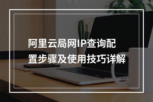 阿里云局网IP查询配置步骤及使用技巧详解