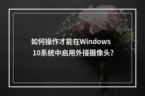 如何操作才能在Windows 10系统中启用外接摄像头?