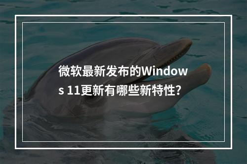 微软最新发布的Windows 11更新有哪些新特性?