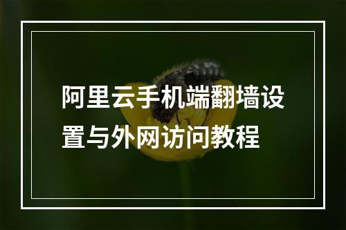阿里云手机端翻墙设置与外网访问教程