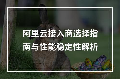 阿里云接入商选择指南与性能稳定性解析