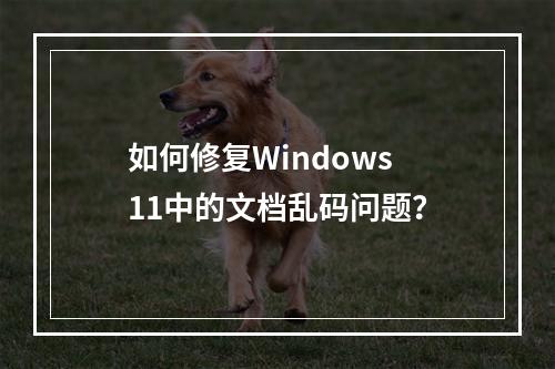 如何修复Windows 11中的文档乱码问题?