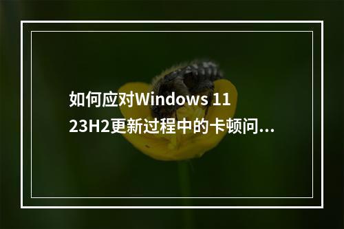 如何应对Windows 11 23H2更新过程中的卡顿问题?