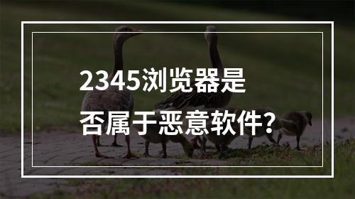 2345浏览器是否属于恶意软件?