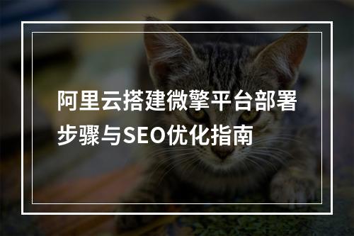 阿里云搭建微擎平台部署步骤与SEO优化指南