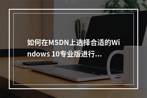 如何在MSDN上选择合适的Windows 10专业版进行下载?