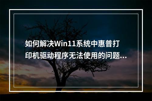如何解决Win11系统中惠普打印机驱动程序无法使用的问题?