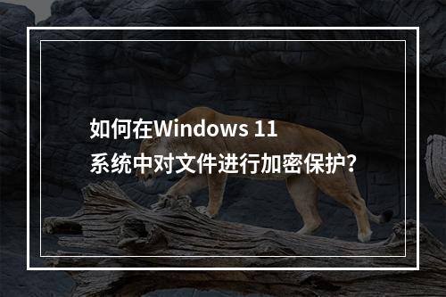 如何在Windows 11系统中对文件进行加密保护?