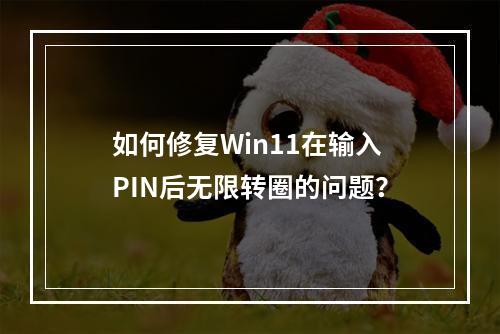 如何修复Win11在输入PIN后无限转圈的问题?