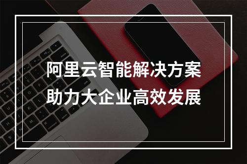 阿里云智能解决方案助力大企业高效发展