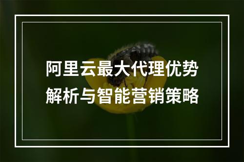 阿里云最大代理优势解析与智能营销策略