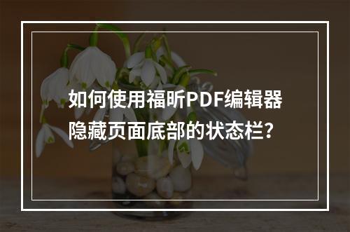 如何使用福昕PDF编辑器隐藏页面底部的状态栏?