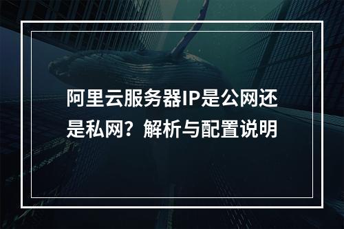阿里云服务器IP是公网还是私网？解析与配置说明