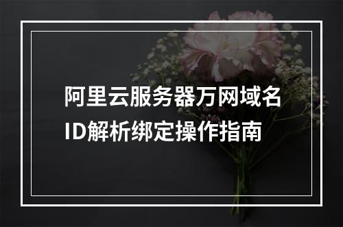 阿里云服务器万网域名ID解析绑定操作指南