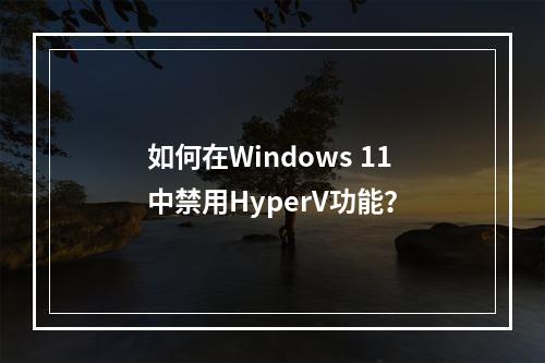 如何在Windows 11中禁用HyperV功能?