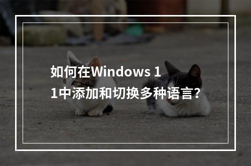 如何在Windows 11中添加和切换多种语言?