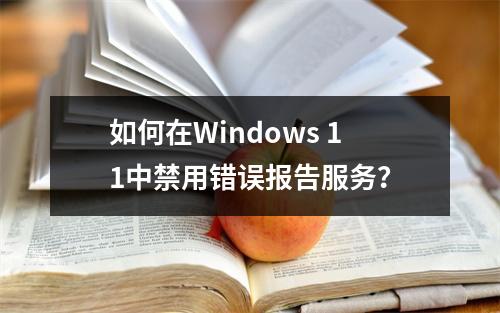 如何在Windows 11中禁用错误报告服务?