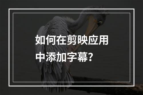如何在剪映应用中添加字幕?