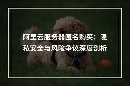 阿里云服务器匿名购买：隐私安全与风险争议深度剖析