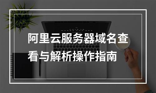 阿里云服务器域名查看与解析操作指南