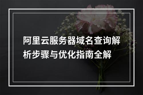 阿里云服务器域名查询解析步骤与优化指南全解