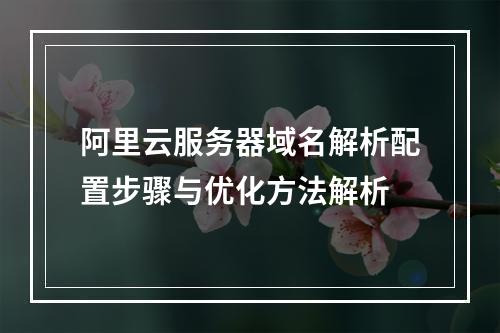 阿里云服务器域名解析配置步骤与优化方法解析