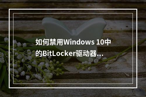 如何禁用Windows 10中的BitLocker驱动器加密功能?
