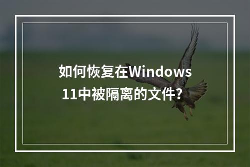 如何恢复在Windows 11中被隔离的文件?