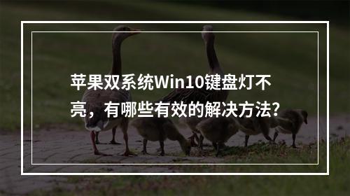 苹果双系统Win10键盘灯不亮,有哪些有效的解决方法?