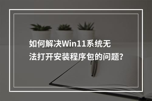 如何解决Win11系统无法打开安装程序包的问题?