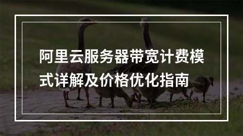 阿里云服务器带宽计费模式详解及价格优化指南