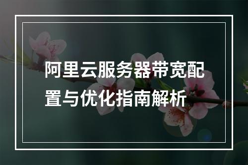 阿里云服务器带宽配置与优化指南解析