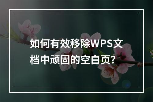 如何有效移除WPS文档中顽固的空白页?