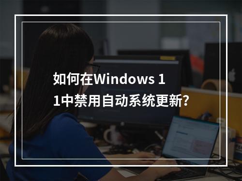 如何在Windows 11中禁用自动系统更新?