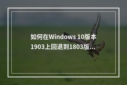 如何在Windows 10版本1903上回退到1803版?