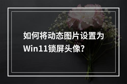 如何将动态图片设置为Win11锁屏头像?