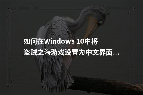 如何在Windows 10中将盗贼之海游戏设置为中文界面?