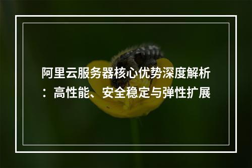 阿里云服务器核心优势深度解析：高性能、安全稳定与弹性扩展