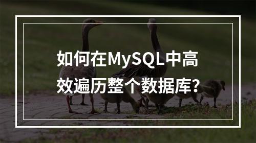 如何在MySQL中高效遍历整个数据库?