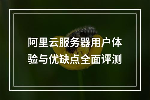阿里云服务器用户体验与优缺点全面评测