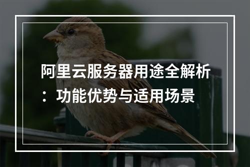 阿里云服务器用途全解析：功能优势与适用场景