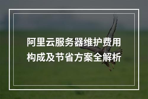 阿里云服务器维护费用构成及节省方案全解析