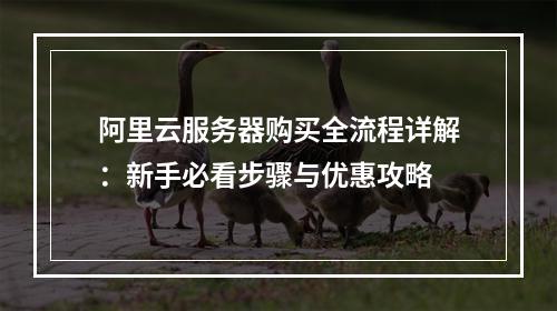 阿里云服务器购买全流程详解：新手必看步骤与优惠攻略