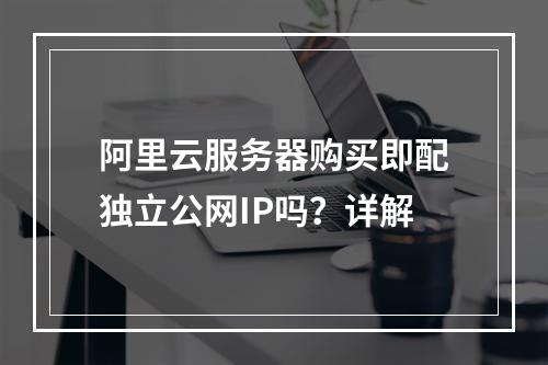 阿里云服务器购买即配独立公网IP吗？详解