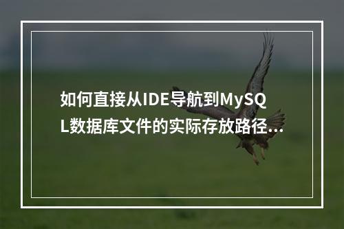 如何直接从IDE导航到MySQL数据库文件的实际存放路径?