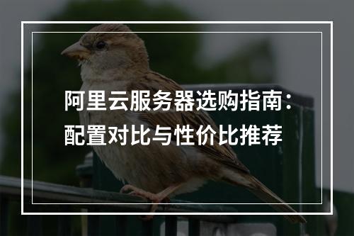 阿里云服务器选购指南：配置对比与性价比推荐