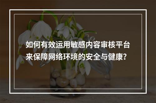 如何有效运用敏感内容审核平台来保障网络环境的安全与健康?
