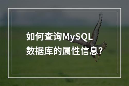 如何查询MySQL数据库的属性信息?