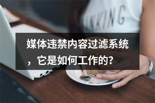 媒体违禁内容过滤系统,它是如何工作的?